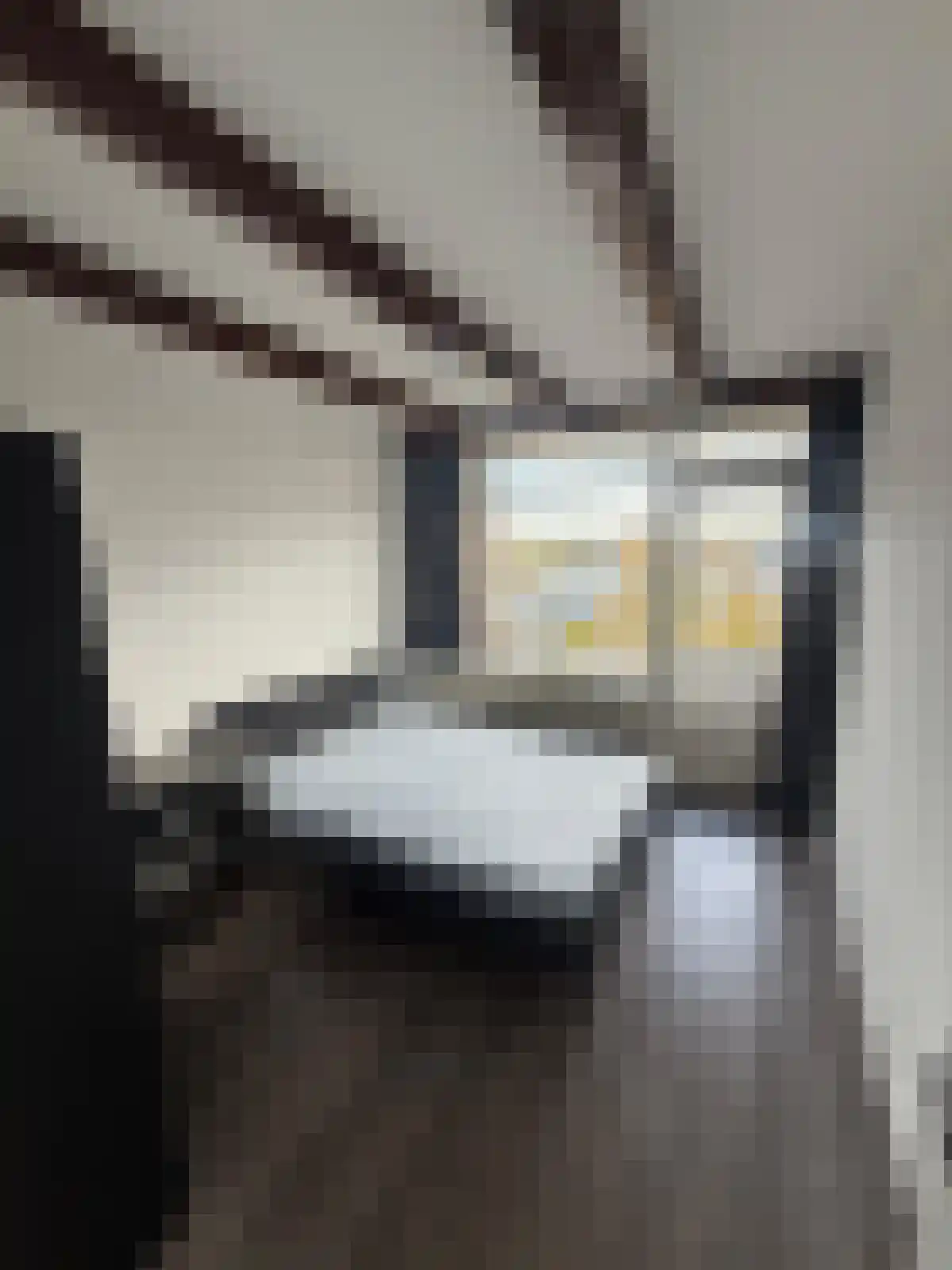 Abdijlaan 263 1 Uden thumbnail 5