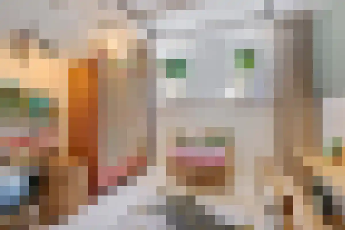 Abdijlaan 27 Uden thumbnail 5