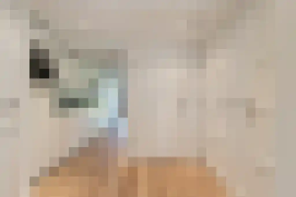 Abdijlaan 270 C Uden thumbnail 6