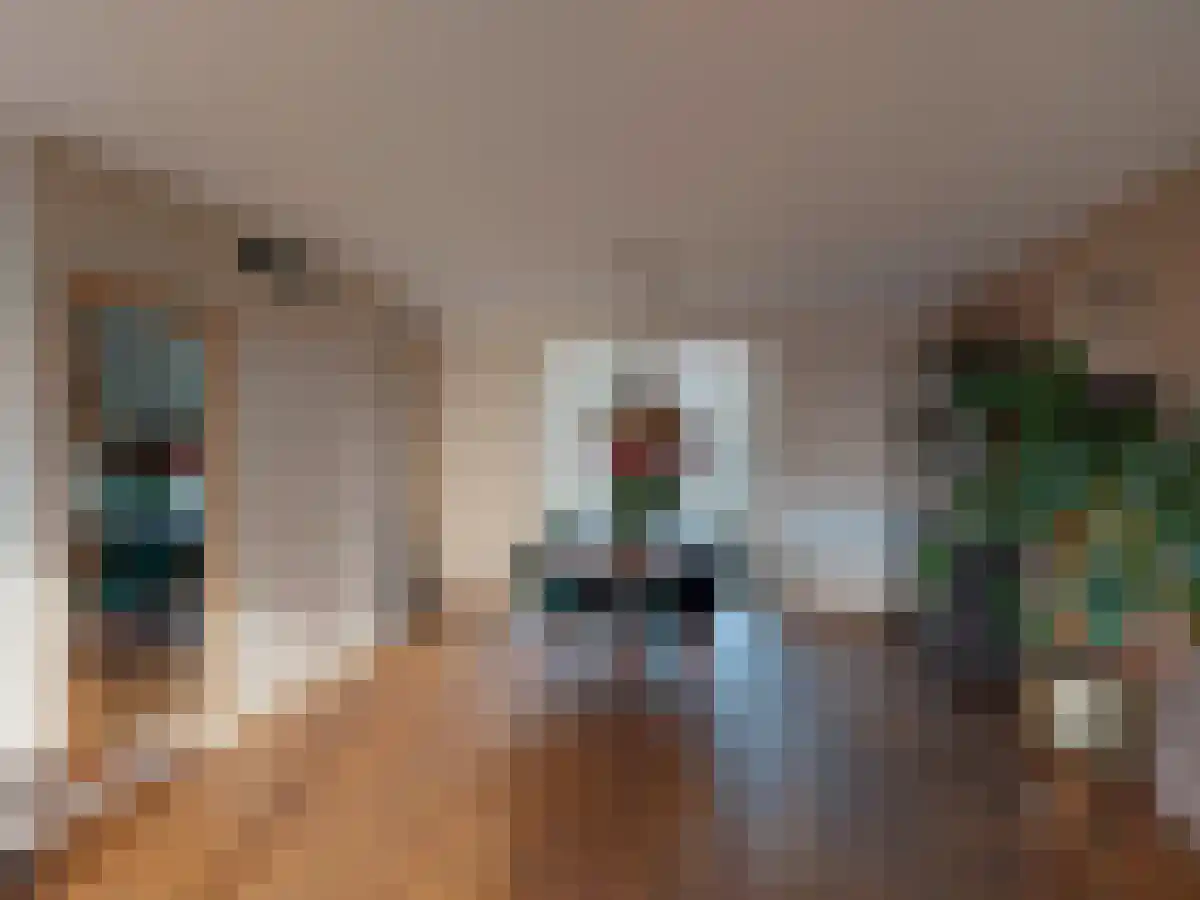 Abdijlaan 270 Uden thumbnail 5