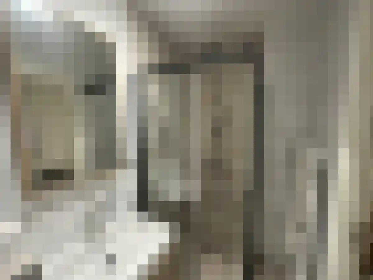 Abdijlaan 270 Uden thumbnail 7