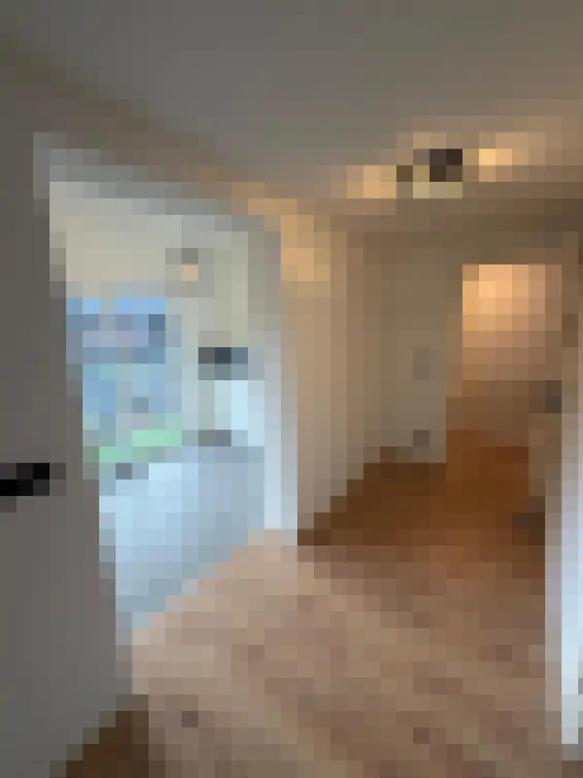 Abdijlaan 280 Uden thumbnail 6