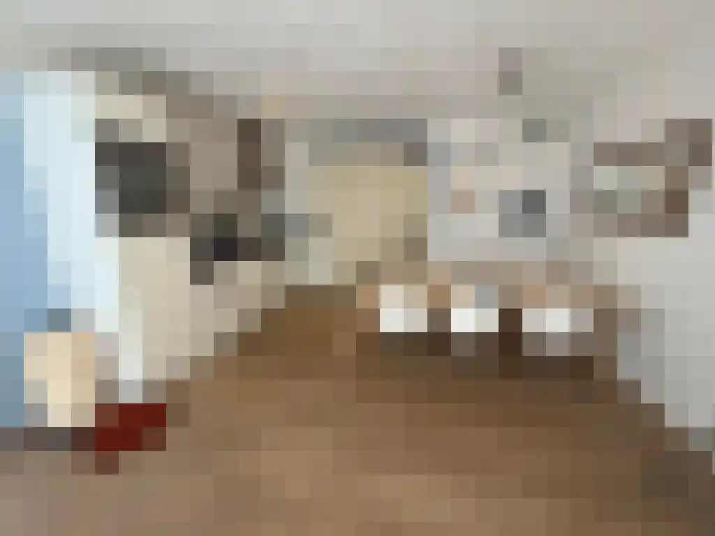 Abdijlaan 285 Uden thumbnail 5