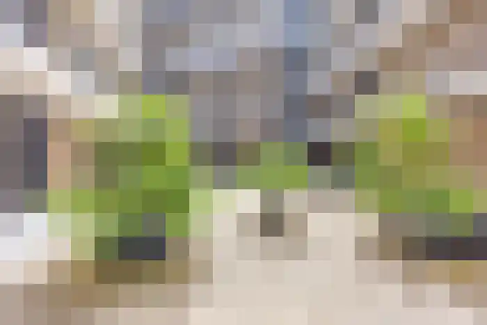 Abdijlaan 286 Uden thumbnail 7