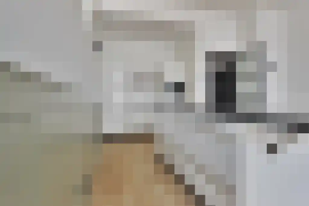 Abdijlaan 299 Uden thumbnail 6
