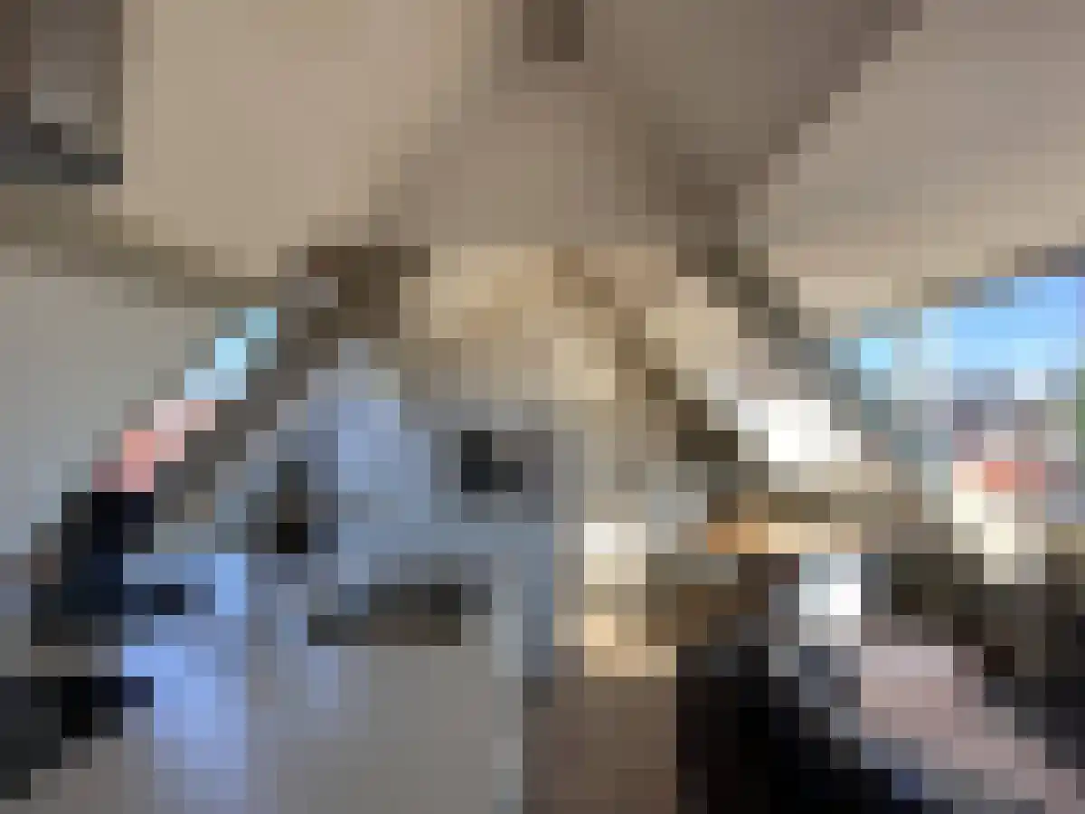 Abdijlaan 3 Uden foto 2