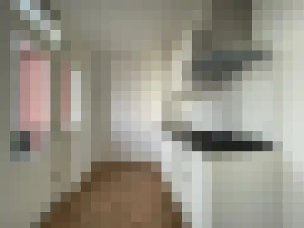 Abdijlaan 3 Uden foto 3