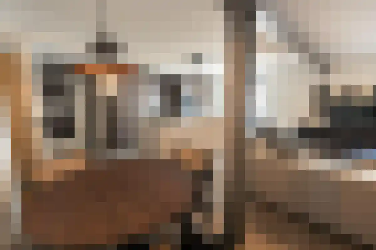 Abdijlaan 3 Uden thumbnail 5