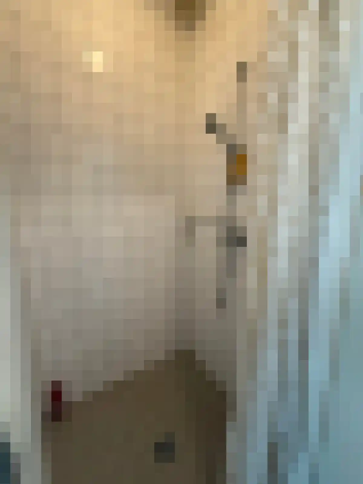 Abdijlaan 3 Uden thumbnail 6