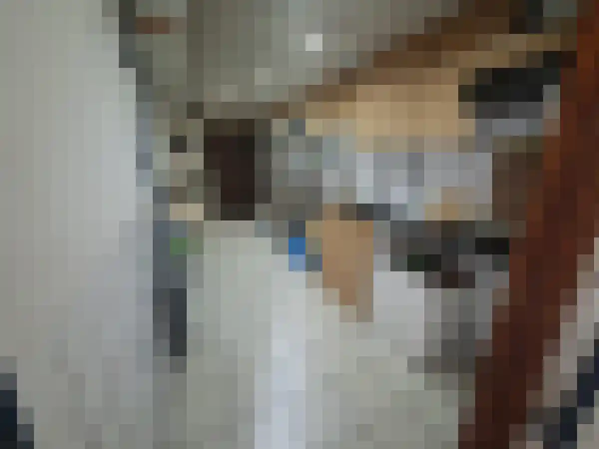 Abdijlaan 3 Uden thumbnail 6