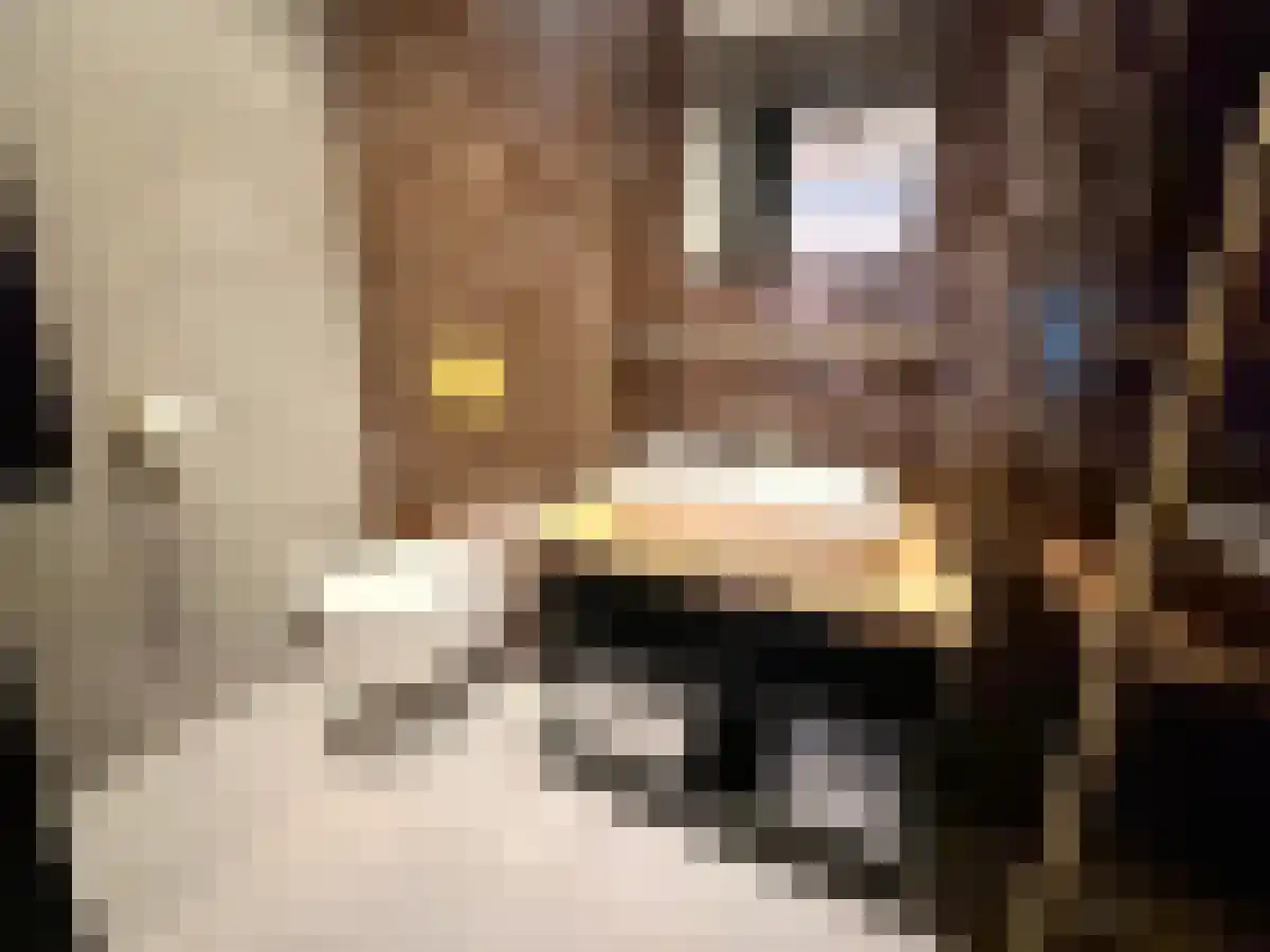 Abdijlaan 3 Uden thumbnail 6