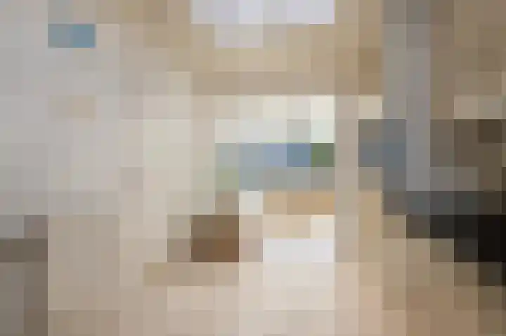 Abdijlaan 31 Hoogerheide thumbnail 20