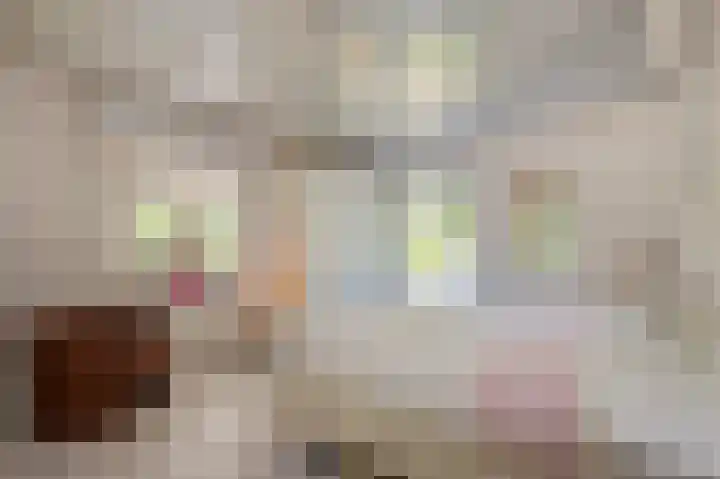 Abdijlaan 31 Hoogerheide thumbnail 22