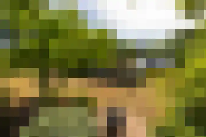 Abdijlaan 31 Hoogerheide thumbnail 43