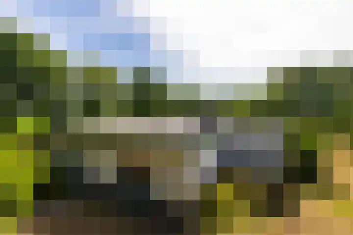 Abdijlaan 31 Hoogerheide thumbnail 45