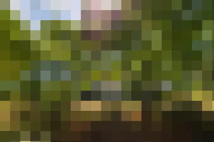 Abdijlaan 31 Hoogerheide thumbnail 47