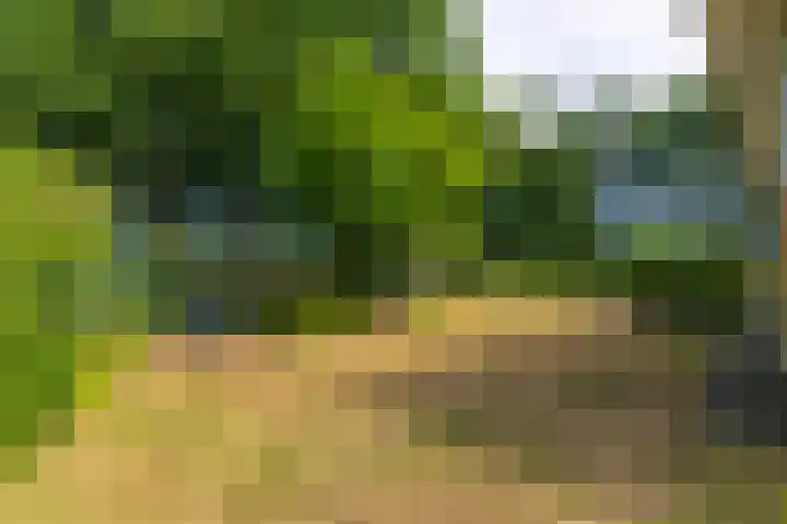 Abdijlaan 31 Hoogerheide thumbnail 51