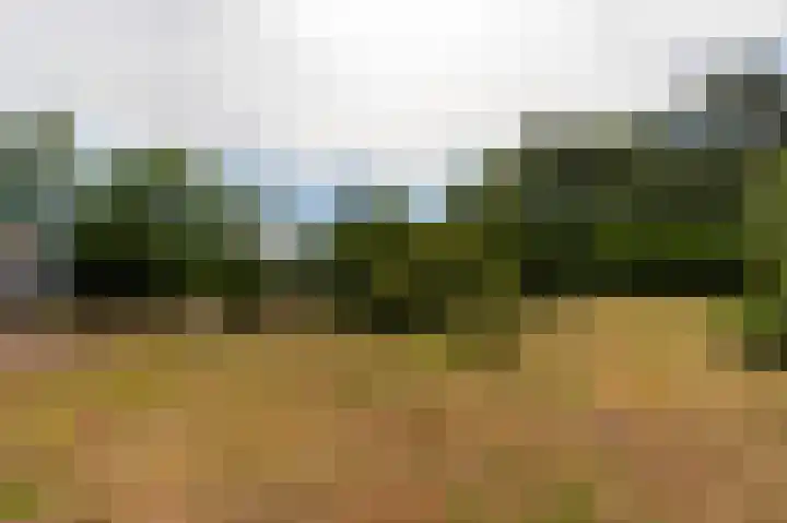 Abdijlaan 31 Hoogerheide thumbnail 56