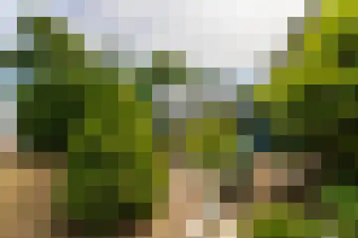 Abdijlaan 31 Hoogerheide thumbnail 61