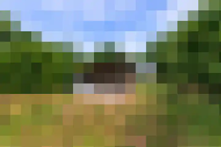 Abdijlaan 31 Hoogerheide thumbnail 63