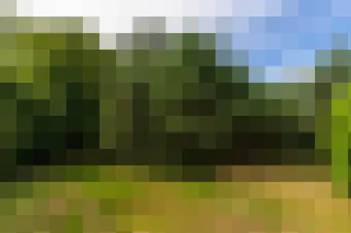 Abdijlaan 31 Hoogerheide thumbnail 64
