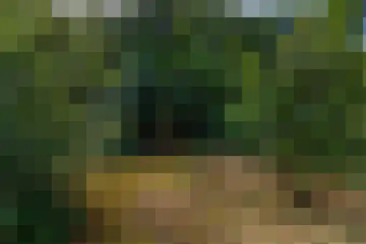 Abdijlaan 31 Hoogerheide thumbnail 65