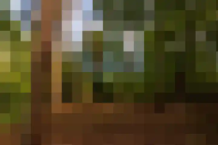 Abdijlaan 31 Hoogerheide thumbnail 66