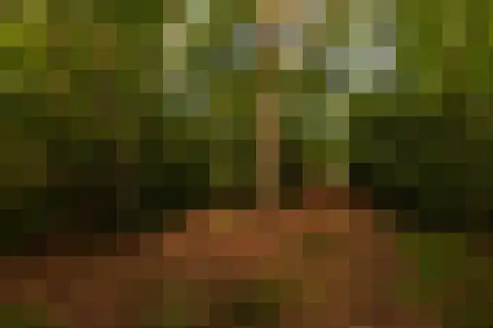 Abdijlaan 31 Hoogerheide thumbnail 67