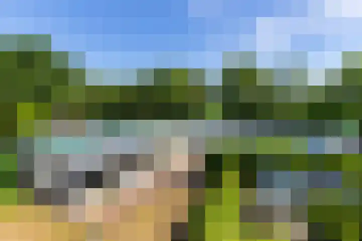 Abdijlaan 31 Hoogerheide thumbnail 68