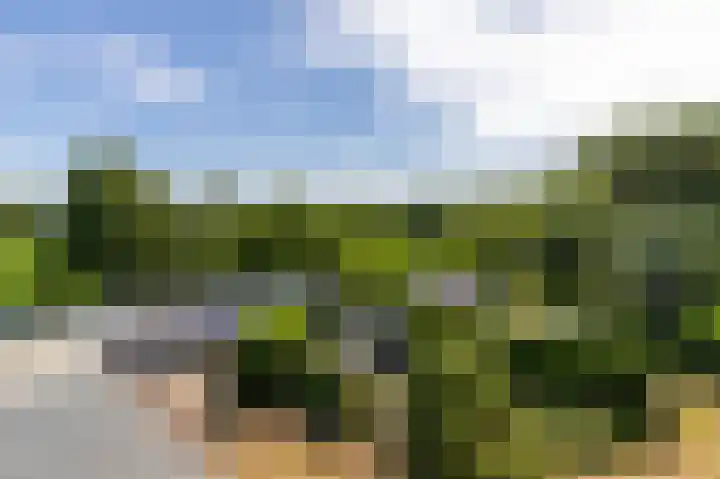 Abdijlaan 31 Hoogerheide thumbnail 69