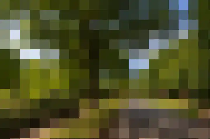 Abdijlaan 31 Hoogerheide thumbnail 73