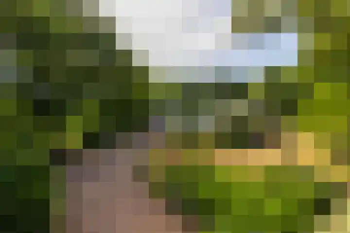 Abdijlaan 31 Hoogerheide thumbnail 77