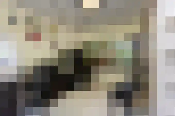 Abdijlaan 31 Hoogerheide thumbnail 8