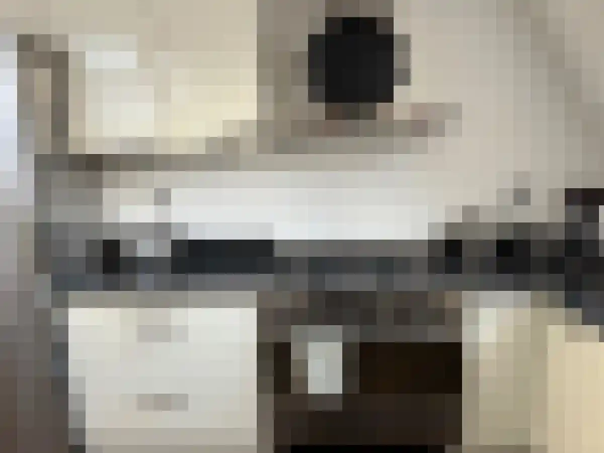 Abdijlaan 31 Uden thumbnail 4