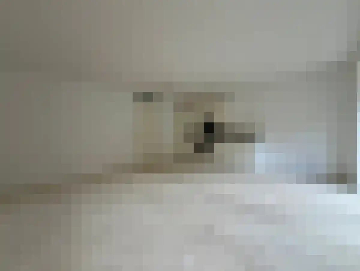 Abdijlaan 31 Uden thumbnail 5