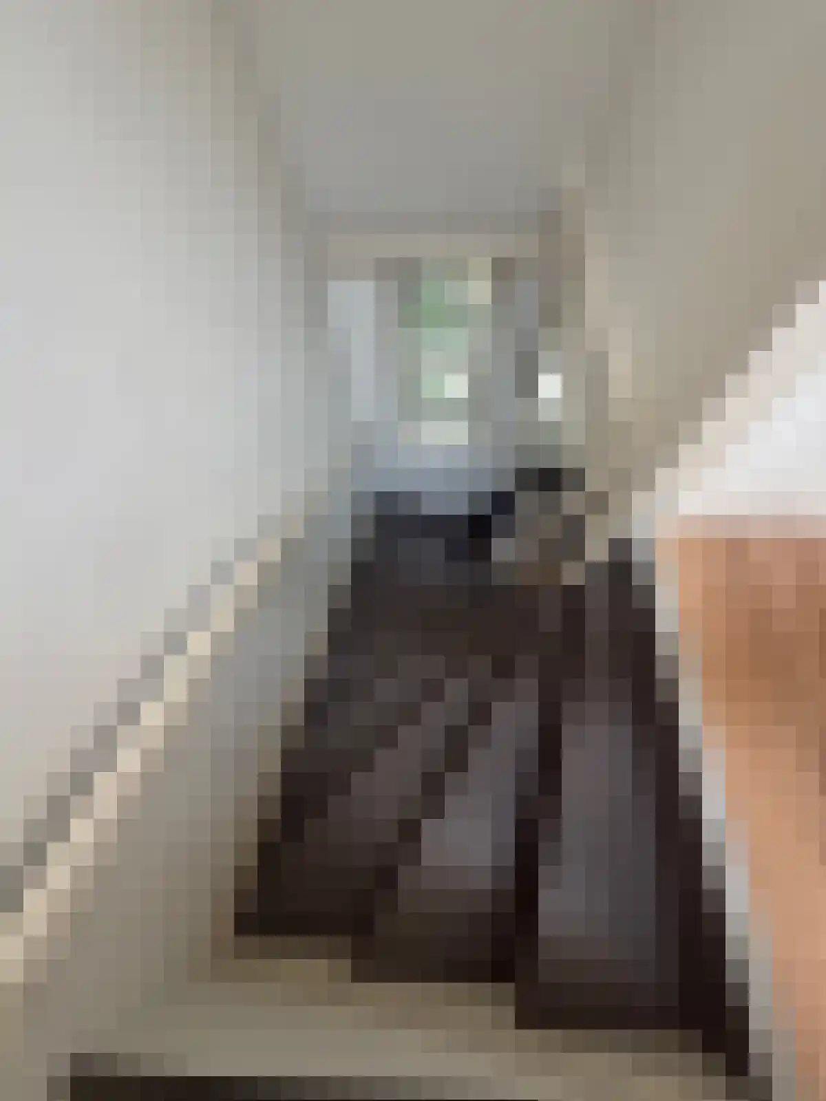 Abdijlaan 316 Uden foto 2