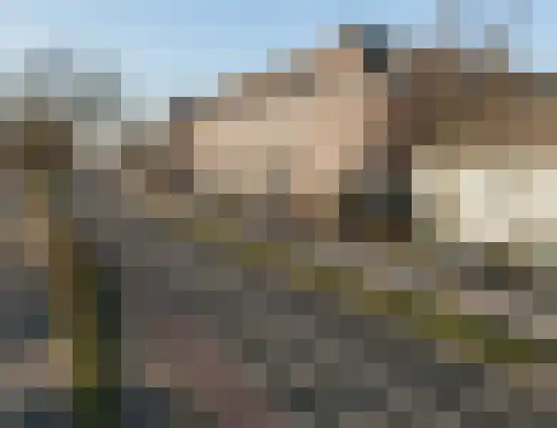 Abdijlaan 32 Uden foto 3