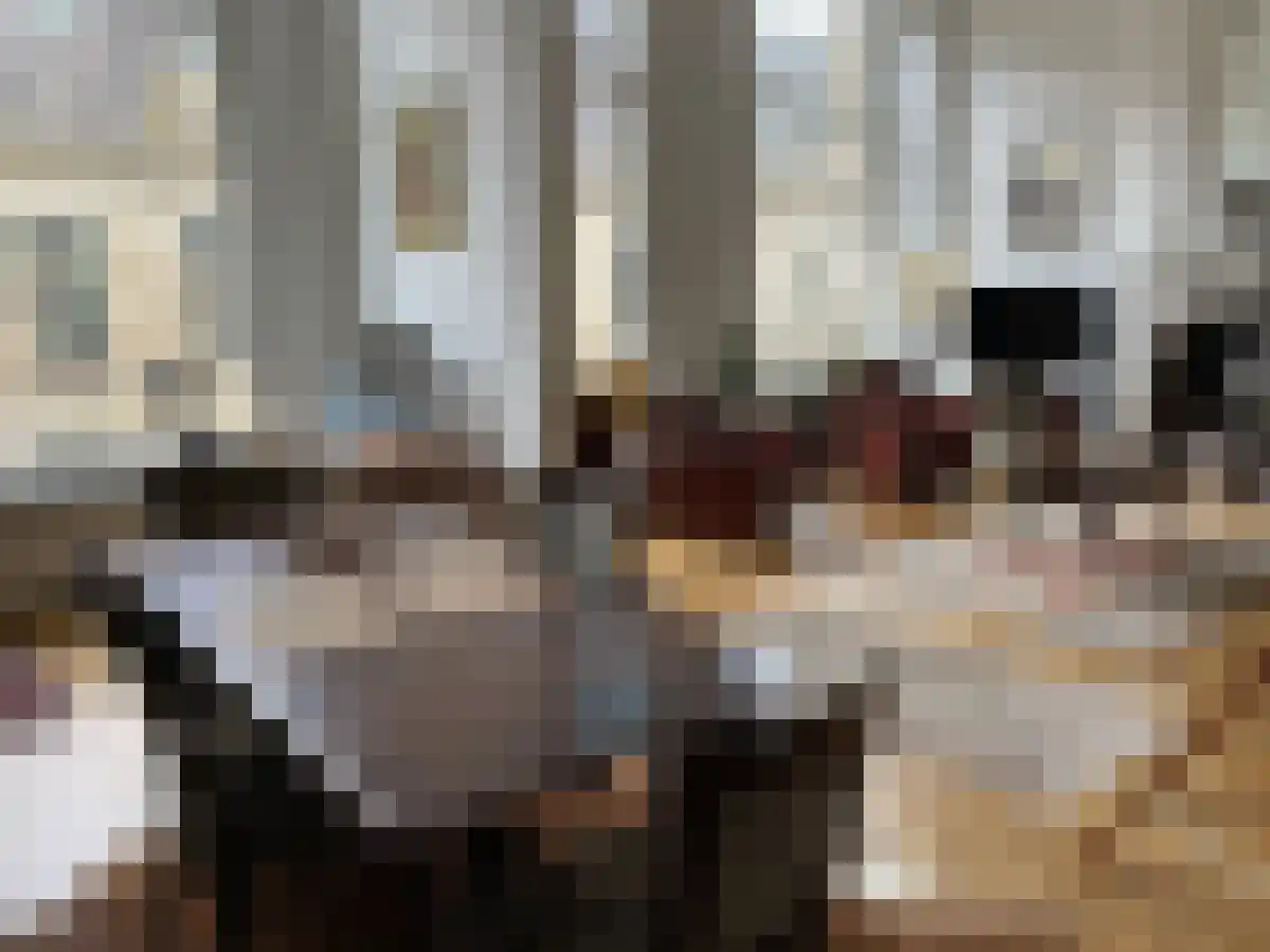 Abdijlaan 32 Uden thumbnail 6