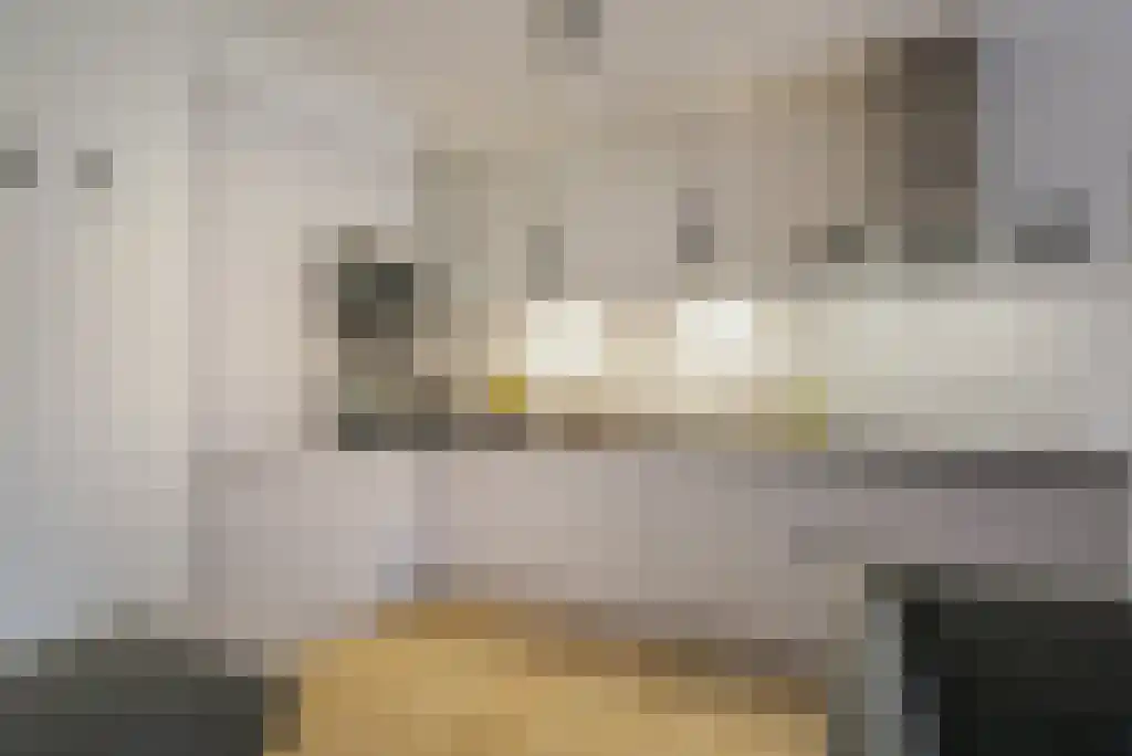 Abdijlaan 321 D Uden thumbnail 6