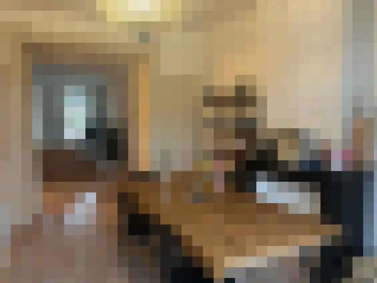 Abdijlaan 322 1 Uden foto 2