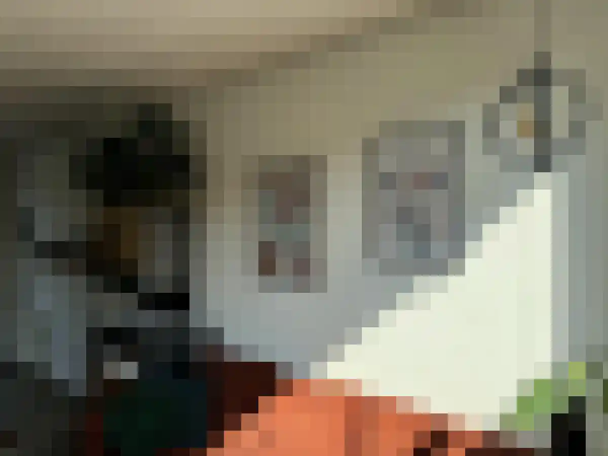 Abdijlaan 33 Uden foto 3