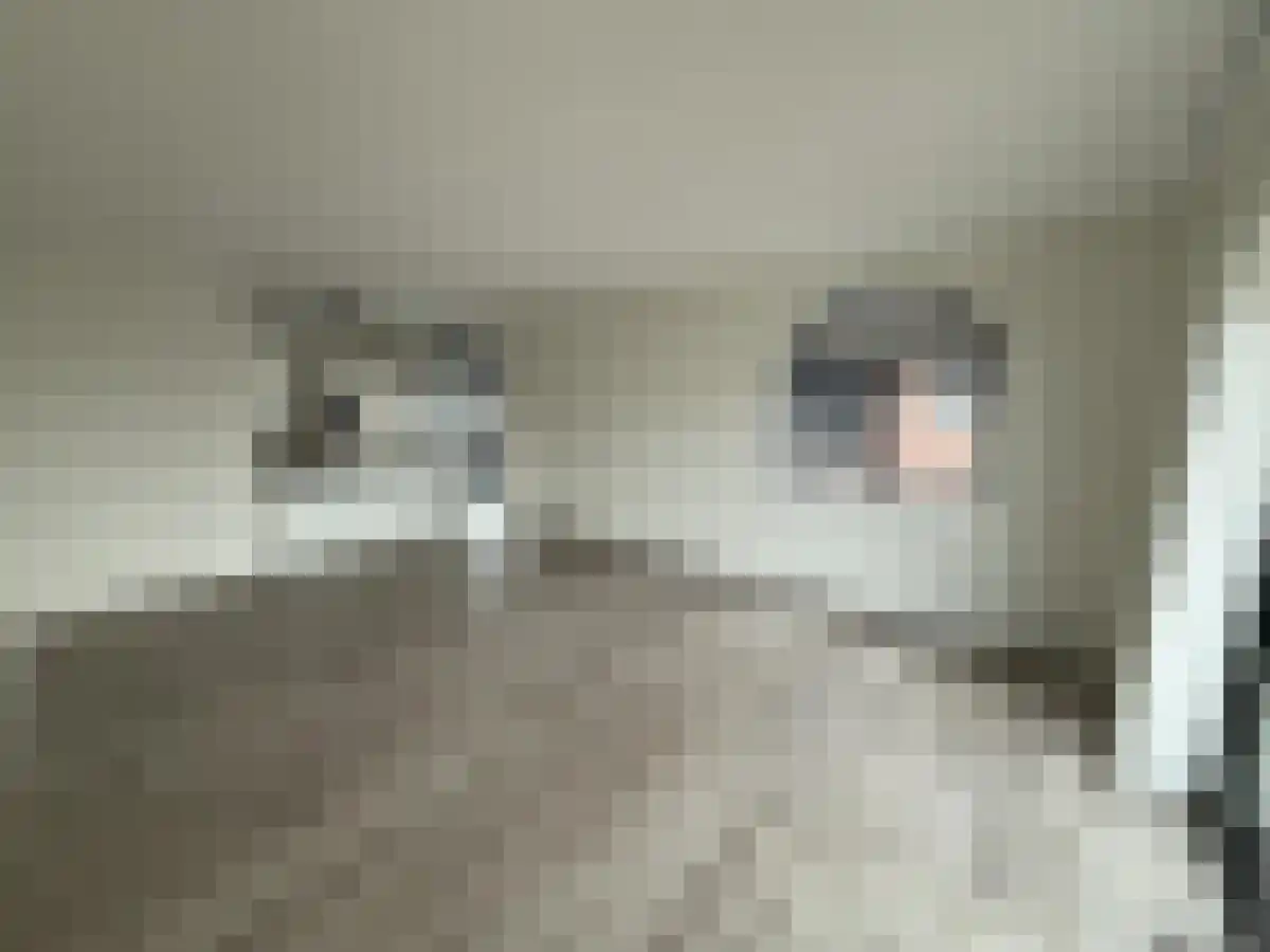 Abdijlaan 33 Uden thumbnail 4