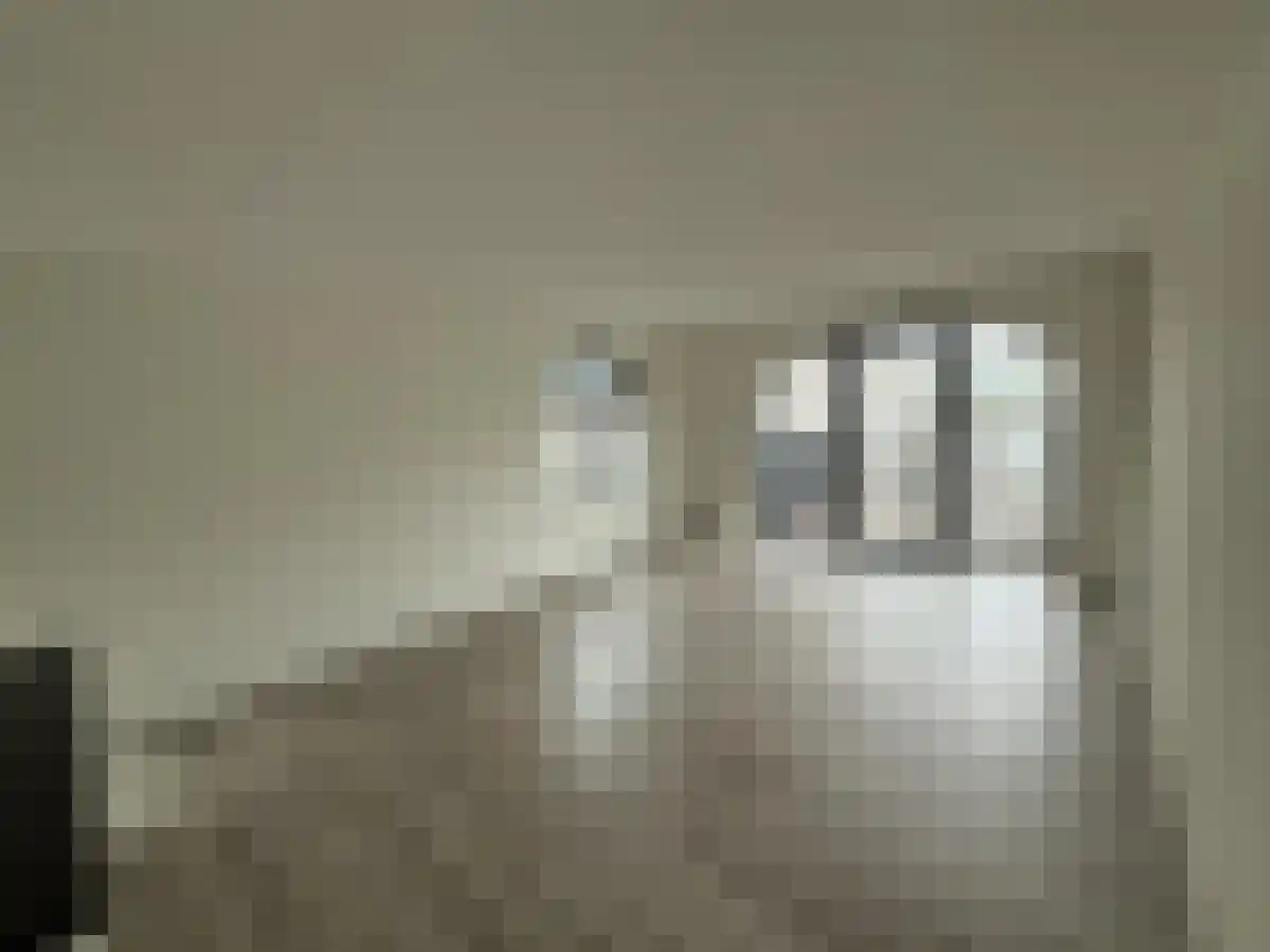 Abdijlaan 33 Uden thumbnail 5