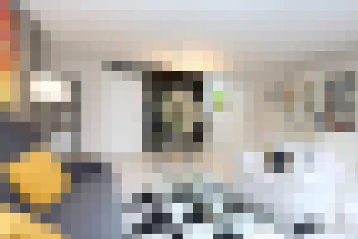 Abdijlaan 33 Uden thumbnail 6