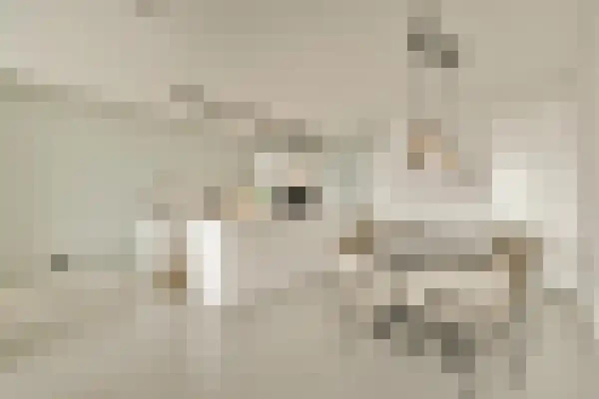 Abdijlaan 331 Uden thumbnail 6