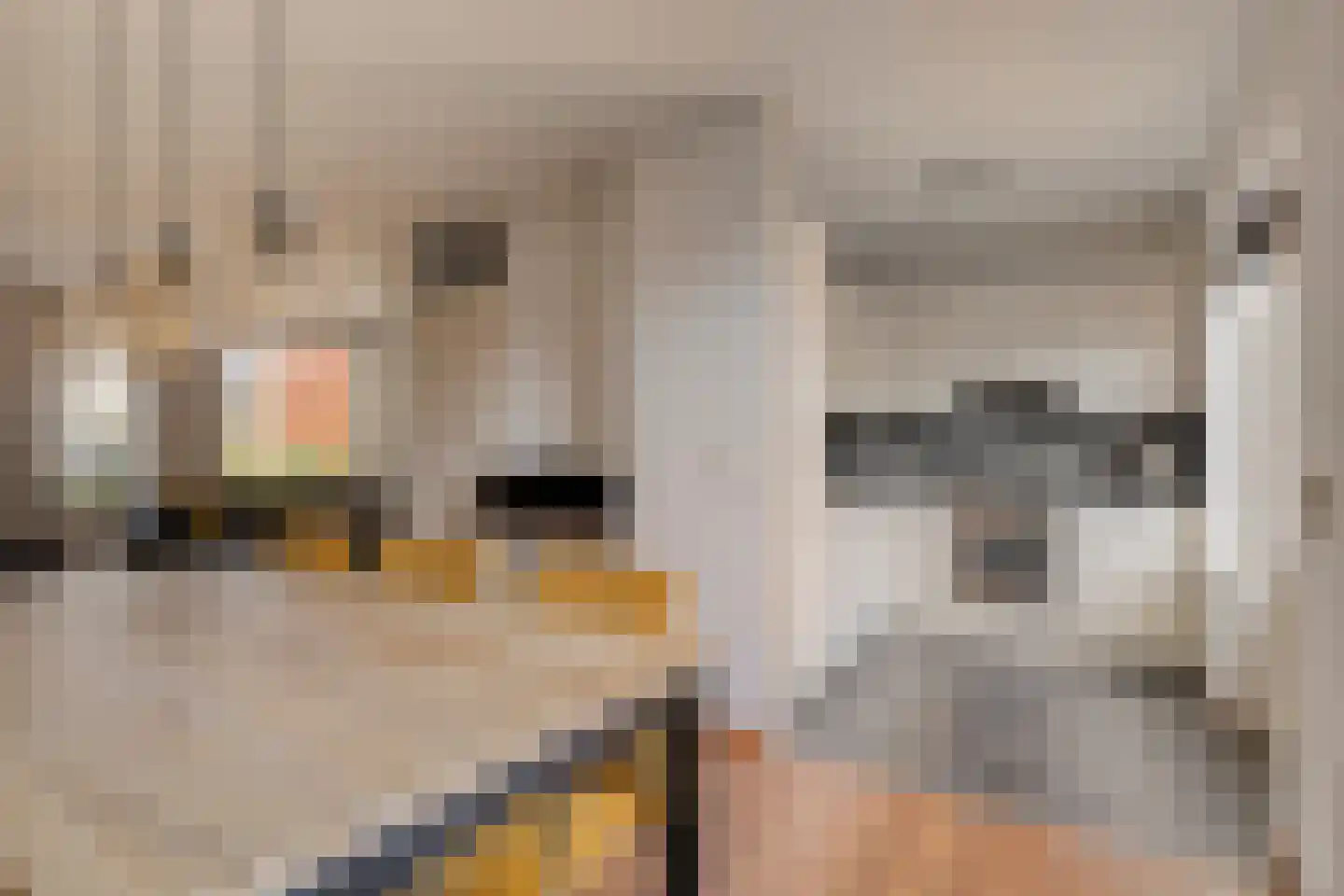 Abdijlaan 338 Uden thumbnail 12