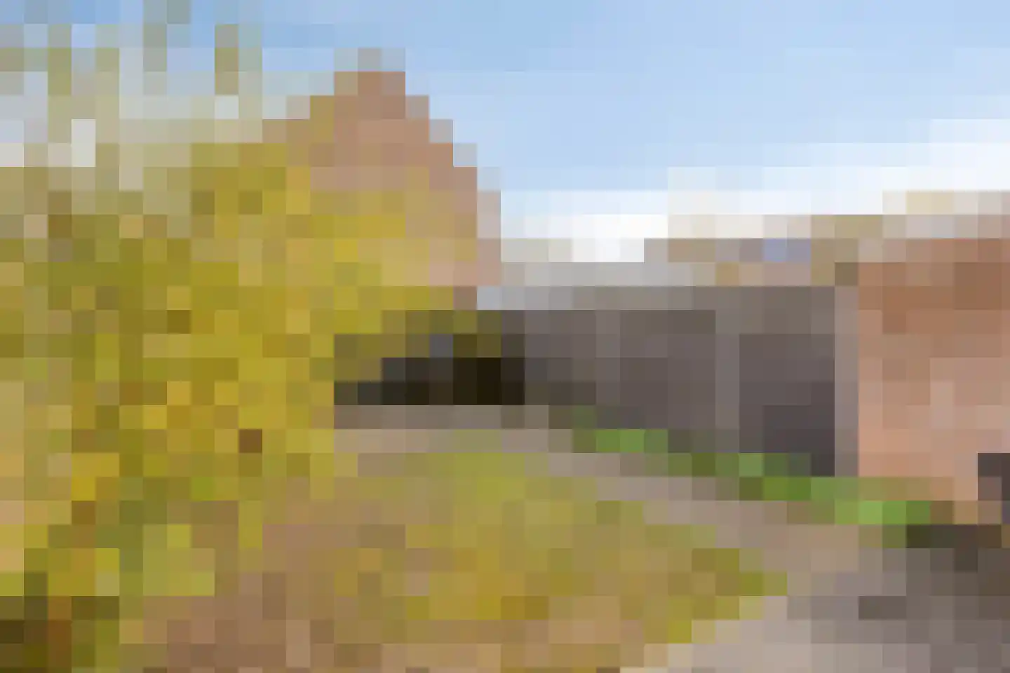 Abdijlaan 338 Uden thumbnail 29