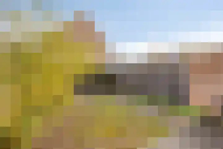 Abdijlaan 338 Uden thumbnail 29