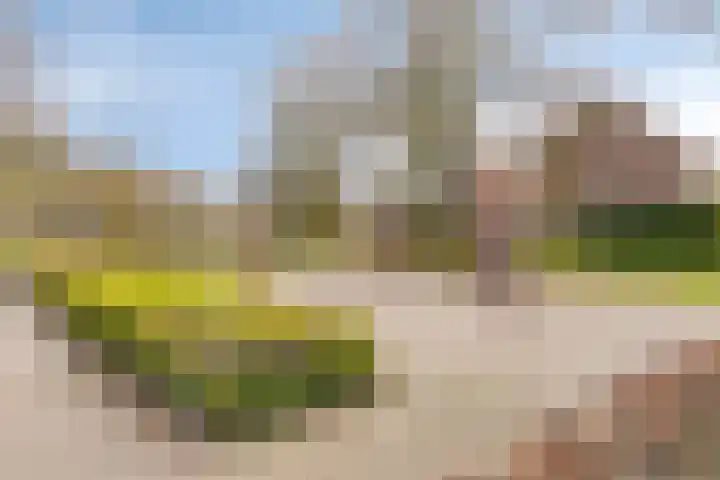 Abdijlaan 338 Uden thumbnail 32