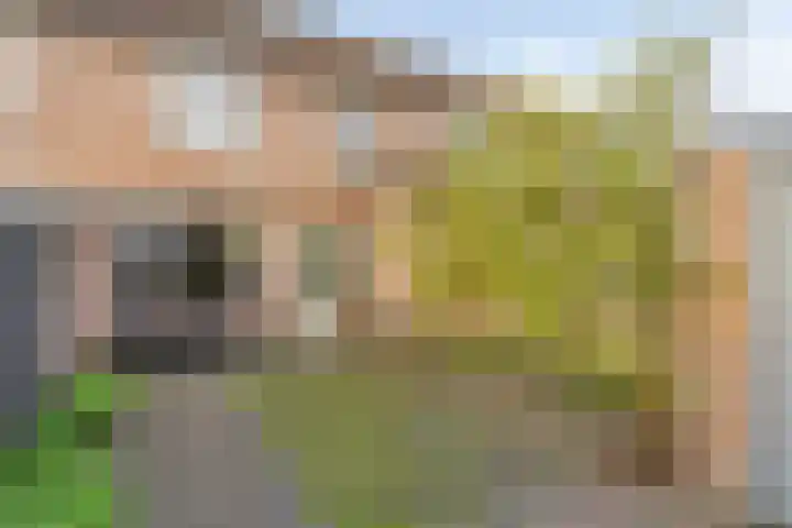 Abdijlaan 338 Uden thumbnail 4